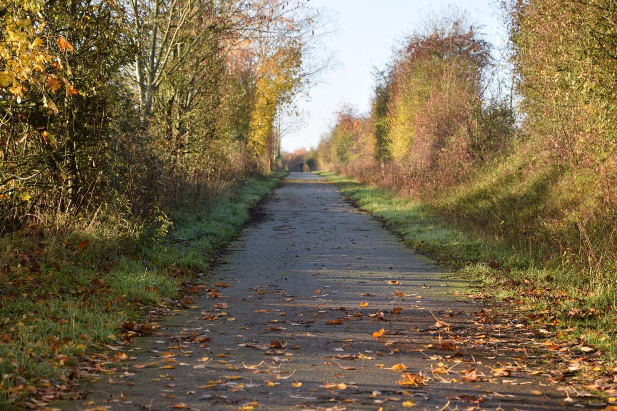 Pour Une Agreable Pause Au Parc ! Alençon Zewnętrze zdjęcie