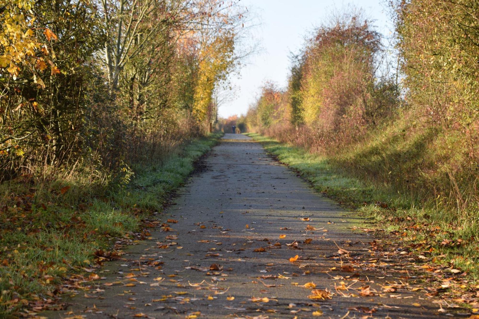 Apartament Pour Une Agreable Pause Au Parc ! Alençon Zewnętrze zdjęcie